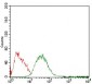 PLIN2 Antibody